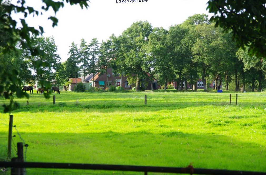 tour 2010 (14).jpg - Uitzicht opde boerderij van Van Dijk